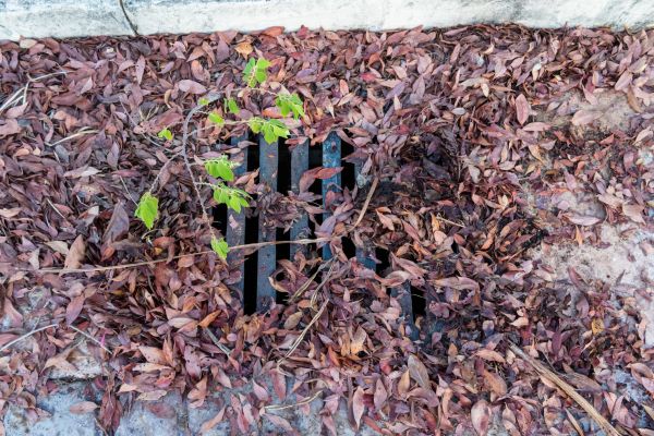Cost of Yard Drain Unclogging in Grand Rapids