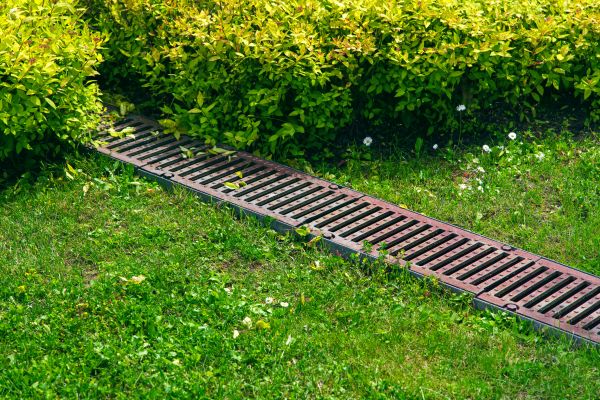Cost of Lawn Drainage in Grand Rapids