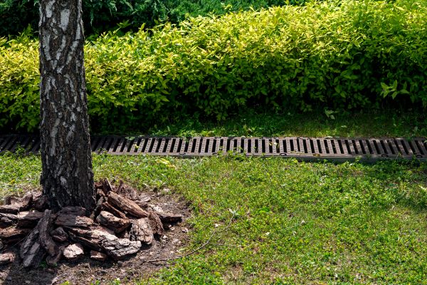 Yard Water Redirection in Grand Rapids