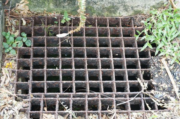 Cost of Yard Drain Cleaning in Grand Rapids