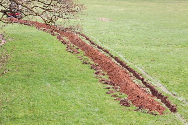 Swale Installation in Grand Rapids