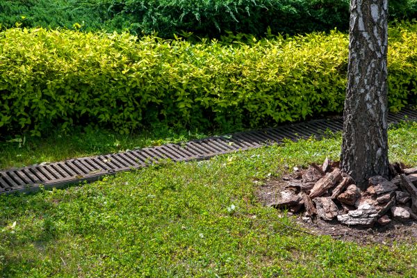 Cost of Residential Landscape Drainage in Grand Rapids
