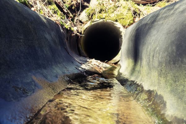 Cost of Drainage Swale Installation in Grand Rapids
