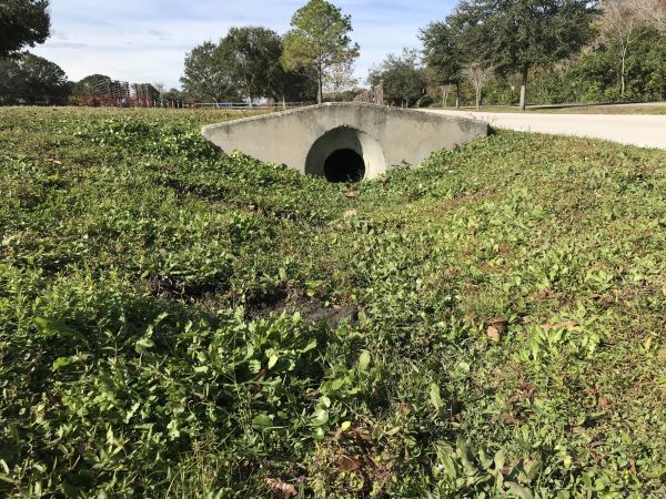Swale Drainage Service in Grand Rapids